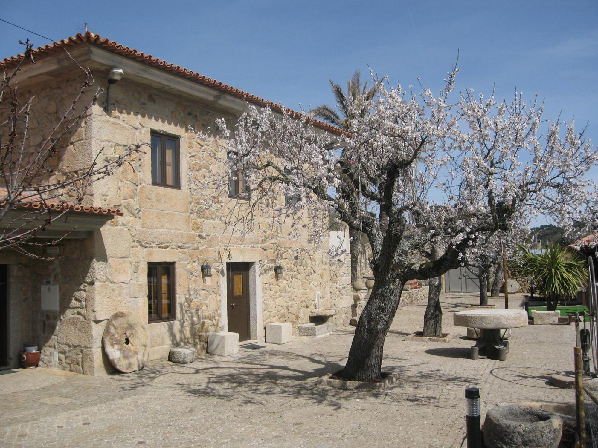 Quinta Das Pias - Holiday Farm Пиньел Экстерьер фото