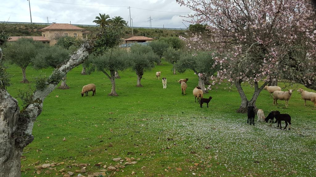 Quinta Das Pias - Holiday Farm Пиньел Экстерьер фото